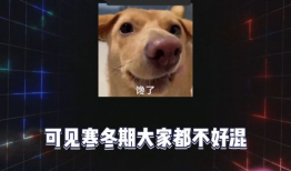 吃瓜八卦爆料,吃瓜群众热议的明星八卦大揭秘