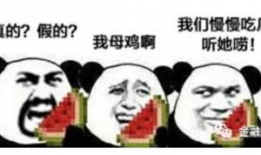 精品51吃瓜台湾反差爆料免费,51吃瓜台反爆料，免费探秘幕后真相