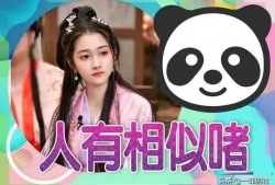 主播吃瓜爆料伙伴娱乐,吃瓜爆料，伙伴娱乐背后的精彩故事